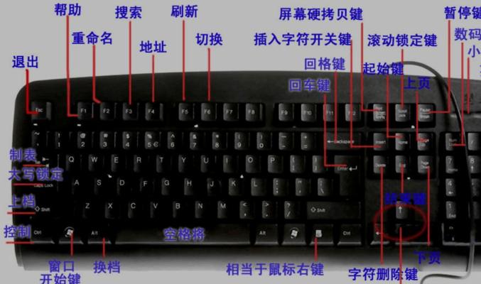 电子双键盘的定义和用途是什么？
