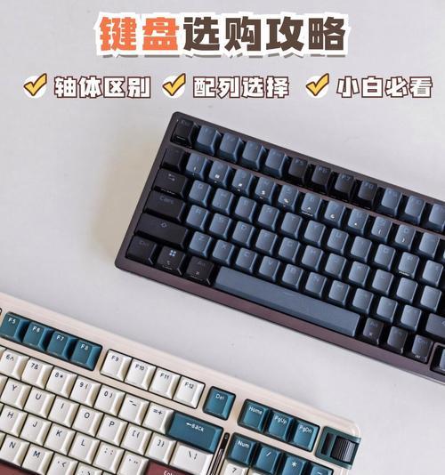 如何选择最舒适的打字键盘？