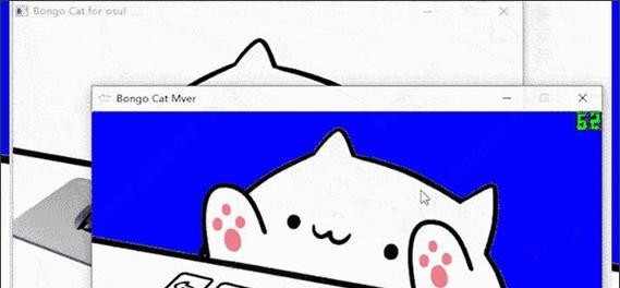 猫按键盘发出声音的原因是什么？