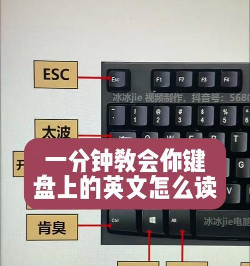 小米平板观看番茄视频无广告的方法是什么？