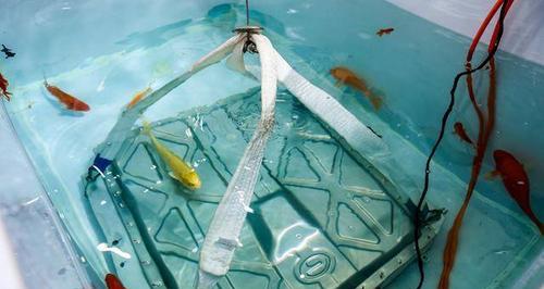 干电池是否可以泡水？泡水后会发生什么？