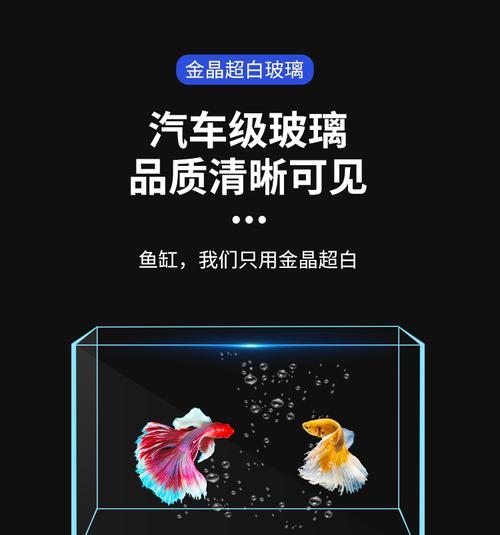 鱼缸散热器自制方法是什么？需要哪些材料？