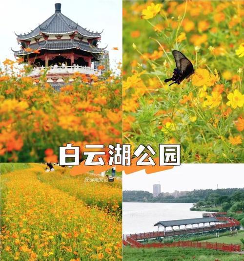 龙潭公园电瓶车进入规定是什么？