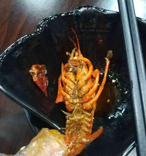 美团海鸥如何安装苹果手机？安装过程中需要注意什么？