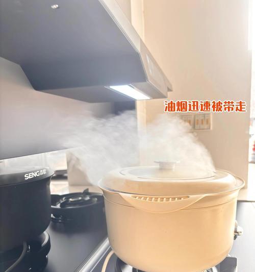 集成灶电机清洗方法（轻松保持集成灶电机清洁的技巧与注意事项）