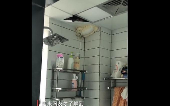 楼下油烟机噪音大的解决方案（消除噪音困扰，让生活更宁静）