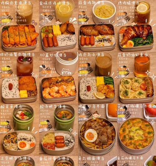 冰箱坏了怎么保存便当肉？（无法冷藏时的食品安全和保存方法）