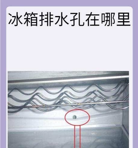 冰柜管子漏水怎么处理（快速解决冰柜管子漏水问题，避免损失）