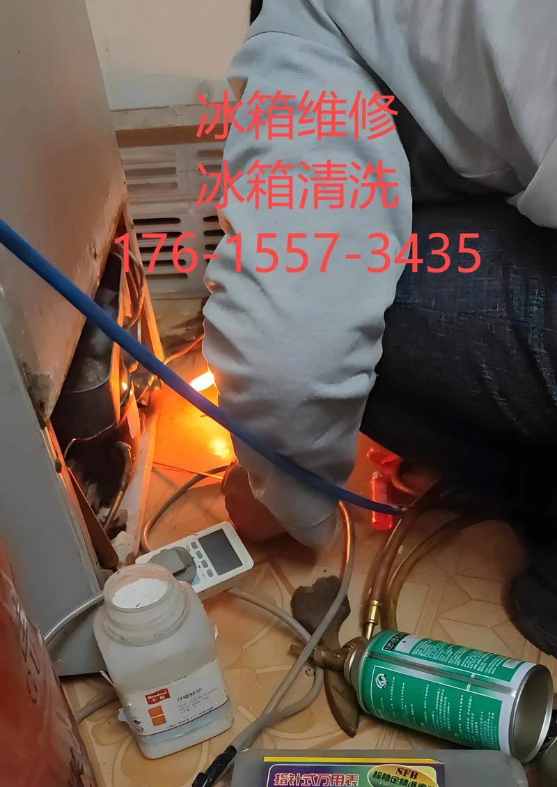 电脑版冰箱失灵的修复指南（如何自行解决电脑版冰箱失灵的问题）