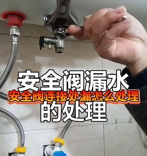 电热水器不出热水的常见问题及维修方法（解决电热水器不出热水的技巧与步骤）