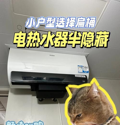 安装对流式电热水器的步骤与注意事项（轻松学会对流式电热水器的正确安装方法）