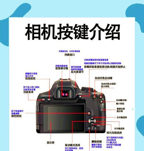 佳能单反相机摄影效果如何?适合初学者吗? 佳能单反相机摄影效果如何?适合初学者吗?